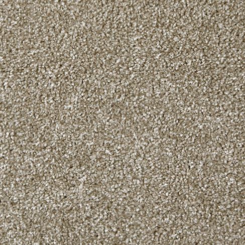 Carpet Range: Apollo Plus, Colour: Burly Wood