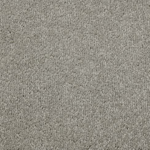 Carpet Range: Primo Plus, Colour: Aberdeen Granite