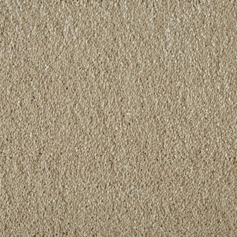Carpet Range: Soft Focus, Colour: Amaretto